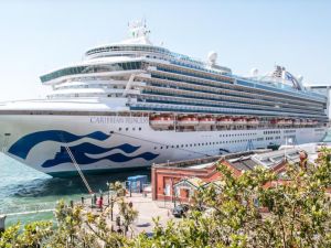 Brote de norovirus en un crucero: más de 100 pasajeros quedaron aislados en altamar