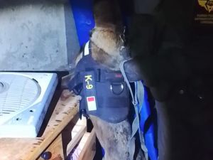 Incautaron más de 5.000 dosis de cocaína, un arma de fuego y detuvieron a dos personas