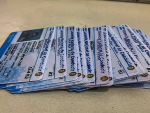 Detuvieron a un trabajador municipal acusado de vender licencias de conducir irregulares en Córdoba
