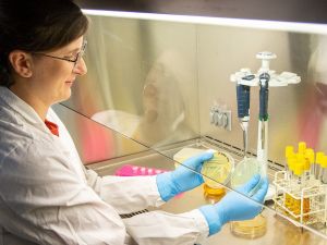 Científicos de la UNC buscan frenar la resistencia a los antibióticos con nuevas tecnologías