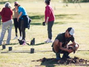 “Sembrando Memoria” avanza con fuerza: ya plantaron 5.700 árboles en solo dos meses