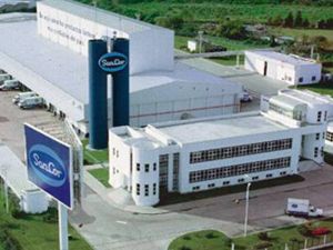 Con una deuda de USD 120 millones, SanCor entra en etapa de venta con seis interesados