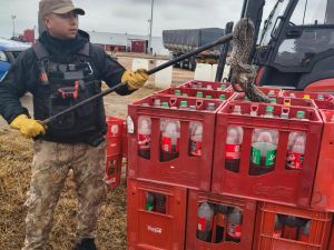 Rescataron una lampalagua hallada en una empresa sobre la Ruta 19