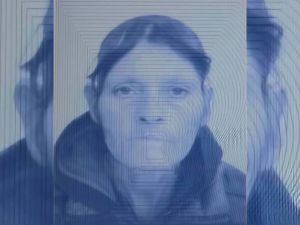 Activan la búsqueda de una mujer de 50 años desaparecida en Villa del Prado
