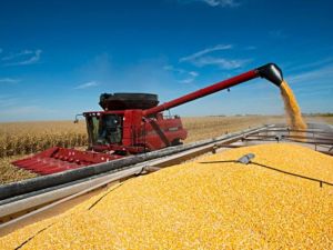 El Gobierno oficializó la reducción gradual de retenciones para el sector agropecuario