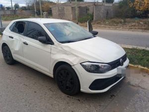 Un caballo suelto causó un fuerte choque contra un auto en Cruz del Eje