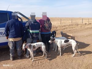 Detuvieron a 15 personas por caza ilegal y rescataron 33 perros en operativos rurales