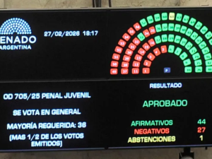 El Senado aprobó la Ley Penal Juvenil y baja la edad de imputabilidad a 14 años