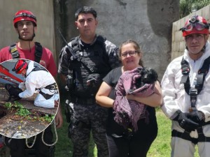 Rescate en Cerro Norte: bomberos salvaron a un perro que cayó a un pozo de 10 metros