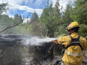 Brigadistas cordobeses refuerzan perímetros y continúan el combate de incendios forestales en Chubut