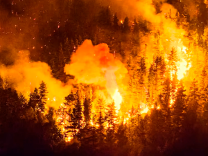 Bomberos cordobeses combaten los incendios en Chubut: trabajan en la zona de Puerto Patriada