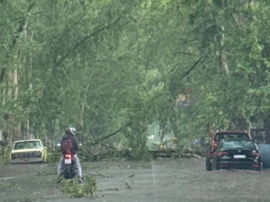 Temporal en el interior provincial: intensas lluvias anegaron calles y provocaron daños