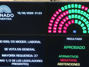 El Senado dio media sanción a la reforma laboral tras más de doce horas de debate