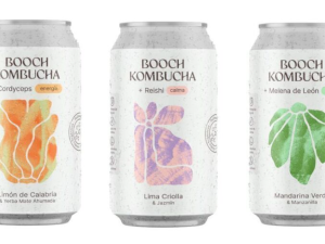 Prohibieron en Córdoba la venta de kombuchas y sodas botánicas por irregularidades