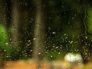 Clima en Córdoba: se esperan chaparrones y una máxima de 29 °C este viernes