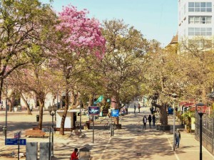 Clima en Córdoba hoy: pronóstico del tiempo para este viernes 12 de diciembre