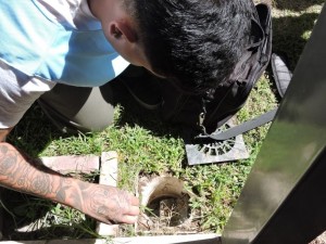 Dengue: un monitoreo en la ciudad de Córdoba alertó por alto riesgo de transmisión