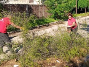 Córdoba bajo alerta: Defensa Civil asistió 95 emergencias tras la fuerte tormenta