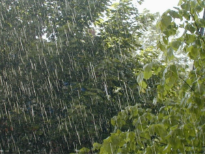 Córdoba bajo lluvia: el pronóstico detallado para este viernes 9 de enero