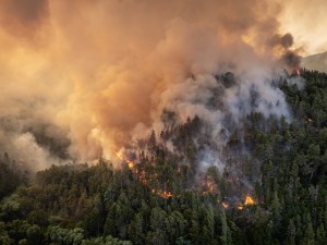 Incendios en Chubut: continúa la emergencia y el fuego sigue activo en la Comarca Andina
