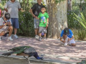 El Parque de la Biodiversidad celebra la Semana de la Vida Silvestre con actividades gratuitas