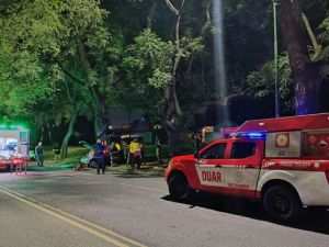 Dos jóvenes murieron tras chocar su auto contra un árbol en B° Pueyrredón