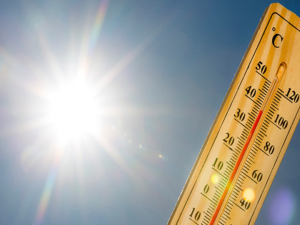 Calor extremo en Córdoba: pronostican temperaturas de hasta 37° y recomiendan extremar cuidados