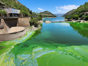 La UNC busca sanear el Dique San Roque a través de imágenes satelitales y la reutilización de algas