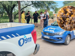 Un hombre murió tras ser atacado por un enjambre de abejas en el norte de Córdoba