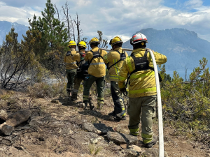 Bomberos de Córdoba siguen combatiendo incendios en El Maitén, uno de los focos activos en Chubut