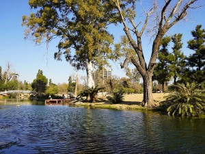 Violento episodio: un hombre recibió un disparo en el tórax cerca del Parque Sarmiento