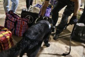 Intentó ingresar droga a la cárcel de Bouwer escondida en comida y terminó detenido