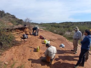 Hallazgo histórico en Córdoba: descubren un fósil óseo de más de 100 millones de años en Ongamira
