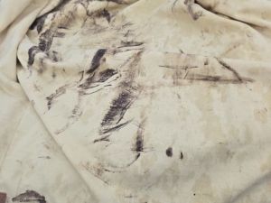 Detuvieron a un hombre en Parque San Antonio y descubrieron que circulaba en un auto con pedido de secuestro