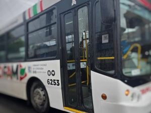 Detuvieron a una mujer por romper el vidrio de la puerta de un colectivo