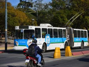 Reparación eléctrica afecta al trolebús y el servicio se presta con colectivos