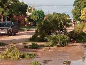 Fuerte temporal azotó el sur cordobés con granizo, ráfagas y lluvias intensas