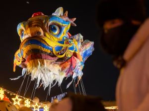 Comienza el Año del Caballo de Fuego: energía, cambios y buenos deseos para el nuevo ciclo