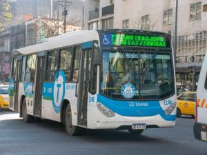 Reordenan cuatro líneas del transporte urbano en Córdoba: cambian de empresa, nombre y recorrido desde marzo
